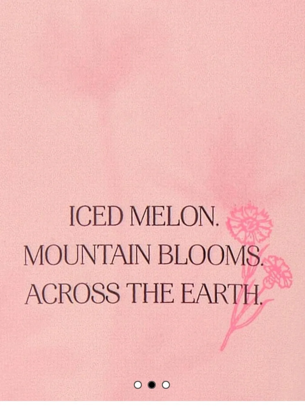 Victoria's Secret Cool Blooms Fragrance Lotion - iced Melon and mountain blooms